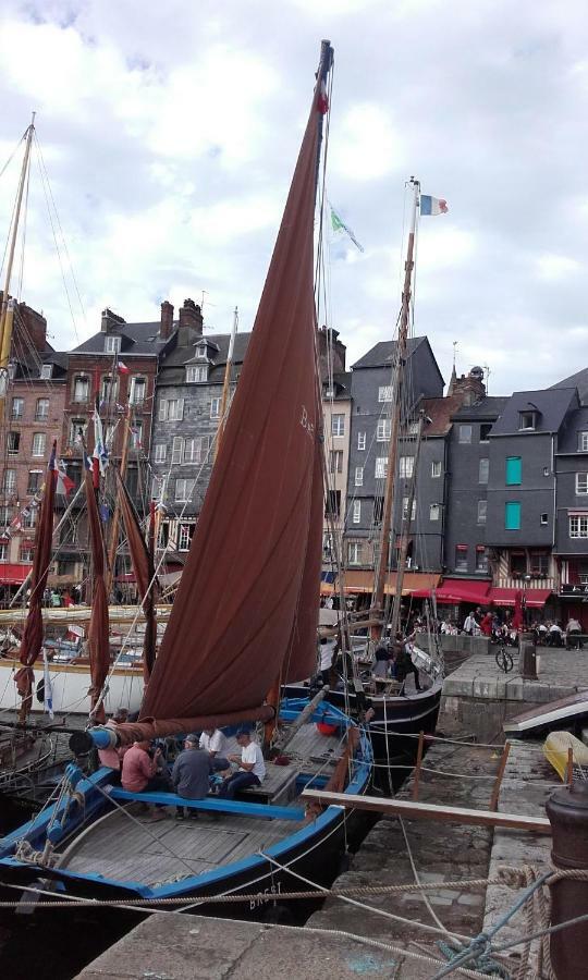 La Fleur D Honfleur Avec Son Parking Lägenhet Exteriör bild