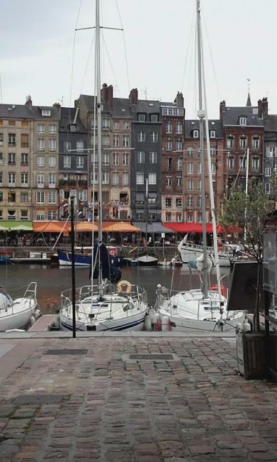 La Fleur D Honfleur Avec Son Parking Lägenhet Exteriör bild